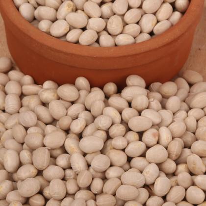 İSPİR ŞEKER FASÜLYE 1KG