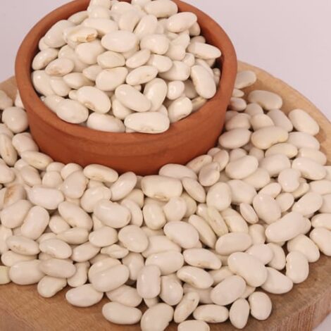 WhatsApp Image 2026-01-16 at 19.18.41