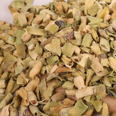 Kabuklu Fasulye Lobye